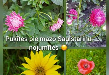 “Pavasara sveiciens rudenim”