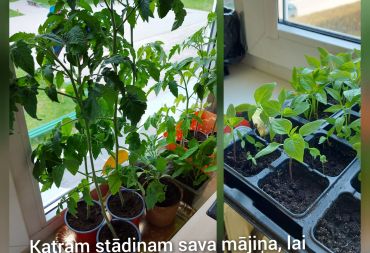 “Pavasara sveiciens rudenim”