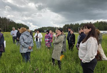 Kā cīnīties ar invazīvajām sugām: Kanādas zeltgalvītes piemērs Jēkabpilī